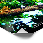 美しい日 – 木 – 国 – 生活 ポスター (コーナー)