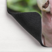 美しい明るいピンクと白のオウム マウスパッド (コーナー)