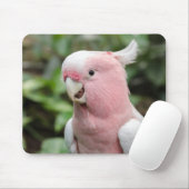 美しい明るいピンクと白のオウム マウスパッド (マウス)