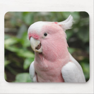 美しい明るいピンクと白のオウム マウスパッド