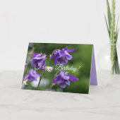 美しい明るい紫色の花Aquilgia vulgaris カード (正面)