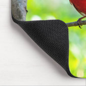 美しい明るい赤の（鳥）ショウジョウコウカンチョウを木に マウスパッド (コーナー)