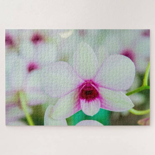 美しい明るい赤紫色と白い花 ジグソーパズル (横)