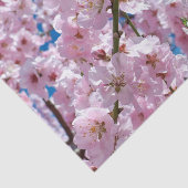 美しい春さくらんぼ花 薄葉紙 (詳細)