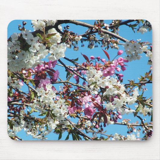 美しい春のピンクと白の桜 マウスパッド (正面)