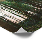 美しい春の森の日の自然ツリー太陽 ポスター (角)