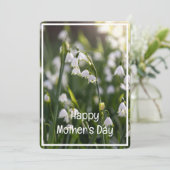美しい春の花母の日 シーズンカード (スタンド正面)