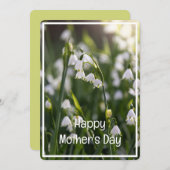 美しい春の花母の日 シーズンカード (正面/裏面)