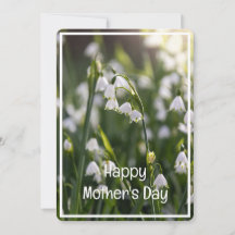 美しい春の花母の日