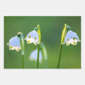 美しい春の雪と雪 ラッピングペーパーシート (正面3)