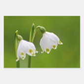 美しい春の雪と雪 ラッピングペーパーシート (正面2)