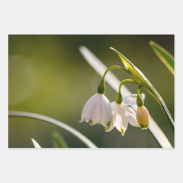 美しい春の雪と雪 ラッピングペーパーシート