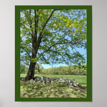 美しい春デイプリント