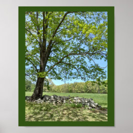 美しい春デイプリント ポスター