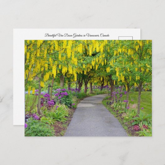 美しい春園路 ポストカード (正面/裏面)