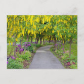 美しい春園路 ポストカード (正面)