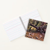 美しい春朝….. ノートブック (内部)
