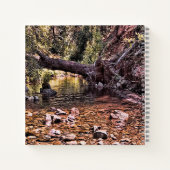 美しい春朝….. ノートブック (裏面)