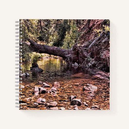 美しい春朝….. ノートブック (正面)