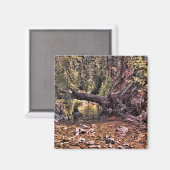 美しい春朝….. マグネット (正面/裏面)