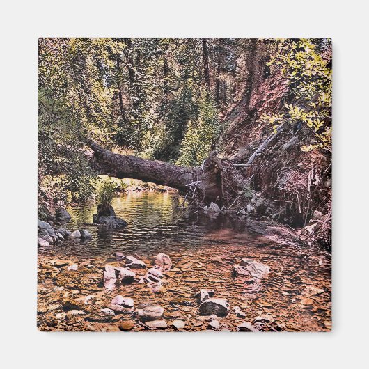 美しい春朝….. マグネット (正面)