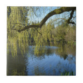 美しい春柳の木の水の池。 タイル