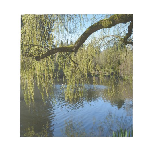 美しい春柳の木の水の池。 ノートパッド (正面)