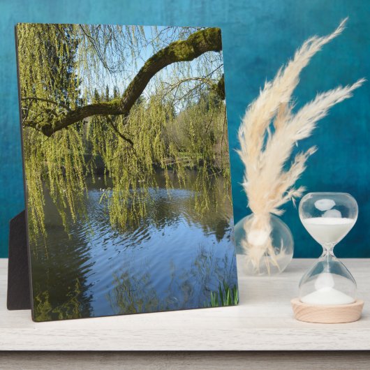 美しい春柳の木の水の池。 フォトプラーク (側面)