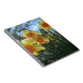 美しい春黄色、オレンジ色の水仙の花 ノートブック (右側)