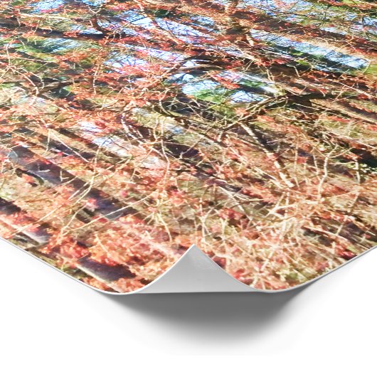 美しい春 ポスター (角)