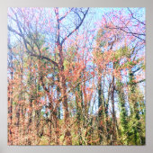 美しい春 ポスター (正面)