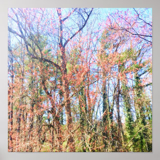 美しい春 ポスター