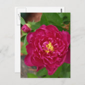 美しい春 ポストカード (正面/裏面)