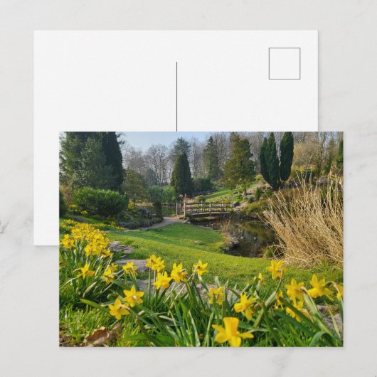 美しい春 ポストカード (正面/裏面)