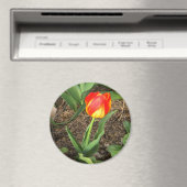 美しい春...... マグネット (インサイチュ (食洗機))