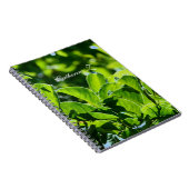 美しい春、夏の緑の葉。名前の追加 ノートブック (右側)