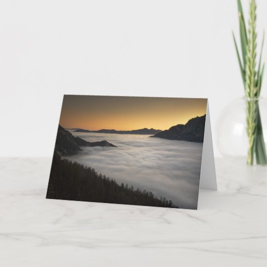 美しい暁 カード (正面)