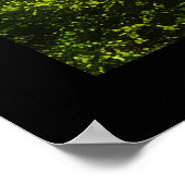 美しい月光の荒野のシーン ポスター (角)