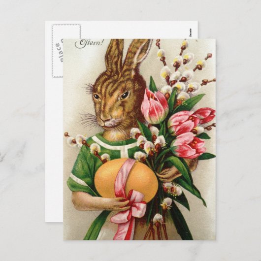 美しい服を着たイースターバニーレディ シーズンポストカード (正面/裏面)