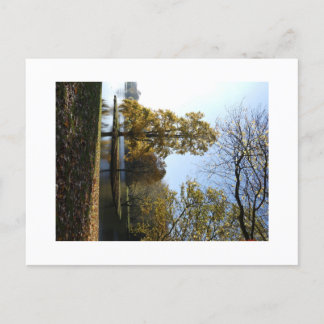 美しい木のはがき ポストカード
