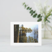 美しい木のはがき ポストカード (スタンド正面)