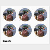 美しい木の鴨のプロフィール ラウンドシール (シート)