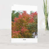 美しい木、神の美しい カード (裏面)