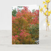 美しい木、神の美しい カード (黄色い花)