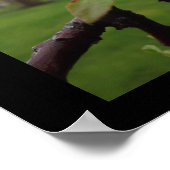 美しい来 ポスター (角)