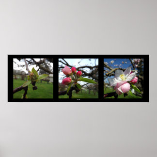 美しい来 ポスター