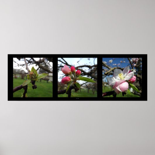 美しい来 ポスター (正面)