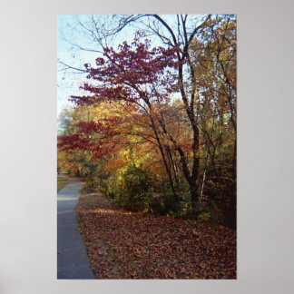 美しい東屋 ポスター