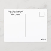 美しい東部タイガースワローテイルの写真 ポストカード (裏面)