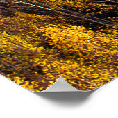 美しい松林 ポスター (角)